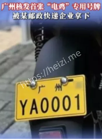 广州电鸡专用号牌